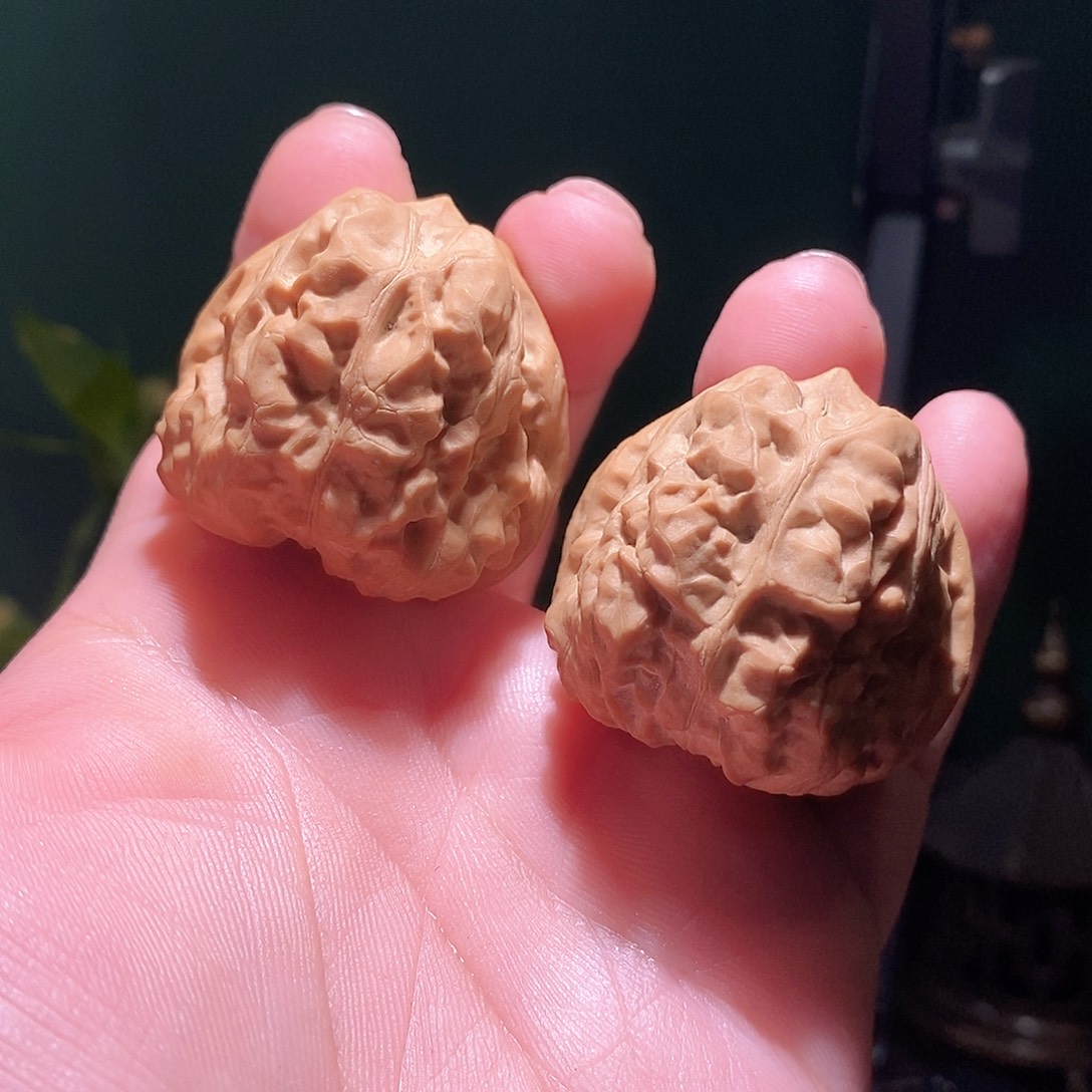 把件文玩核桃45肚三角箭毒蛙