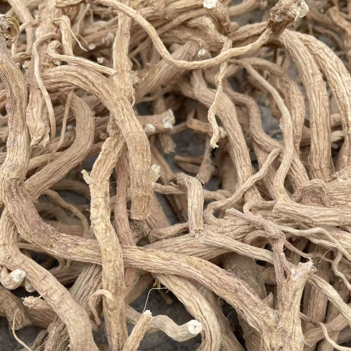 【现收农家好物】 野/地榆  150-250g