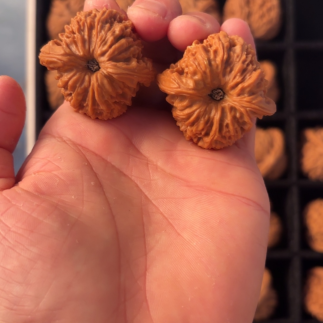 手串/手链核桃555555