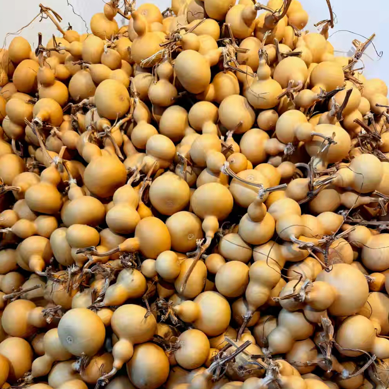 多福天然小葫芦适合作为文玩手把件和挂件一箱出