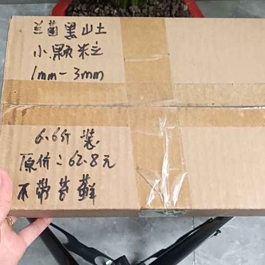 兰***洲兰菌黑山土小颗粒6.6