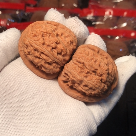 把件文玩核桃白狮子40