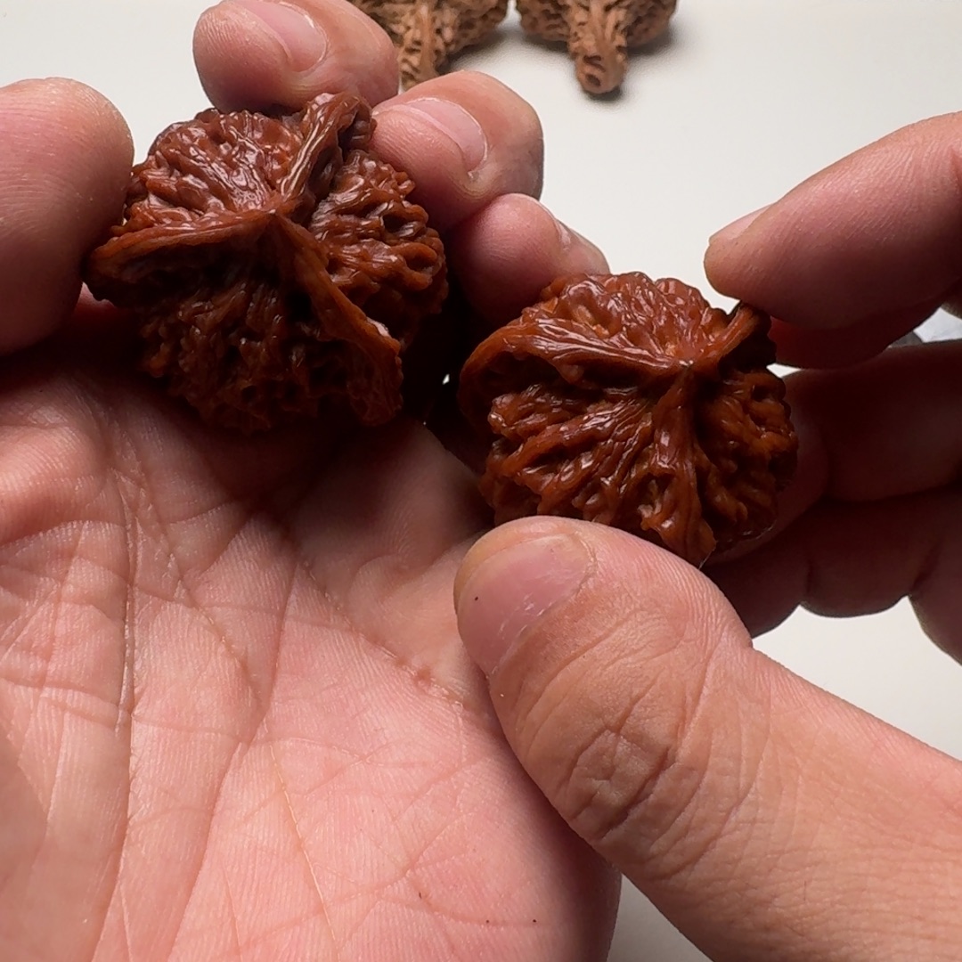 大***）核桃15589999988888888