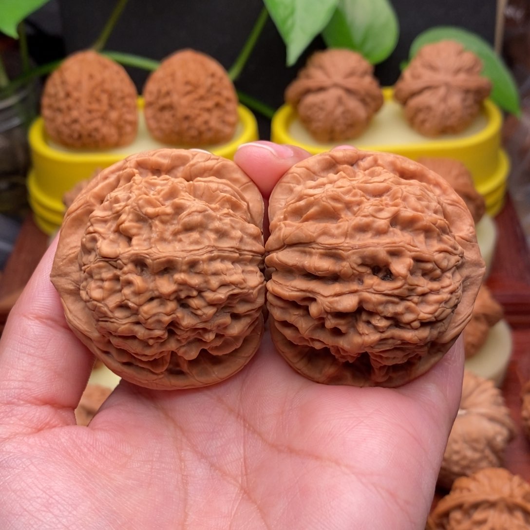 把件文玩核桃49“毕业”大官帽