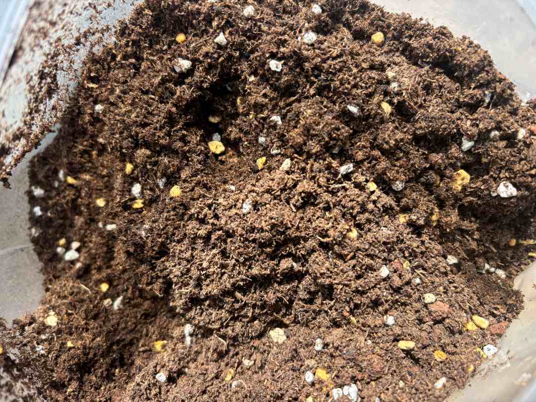 桃花岛多肉植物园《70%颗粒土》3.8斤装
