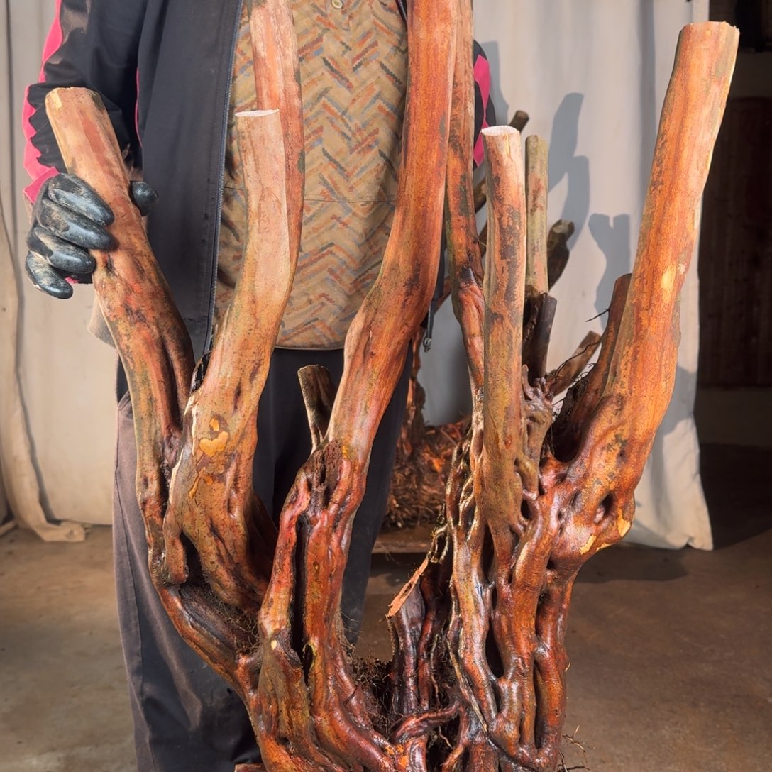 肥***鱼可以66669999999999