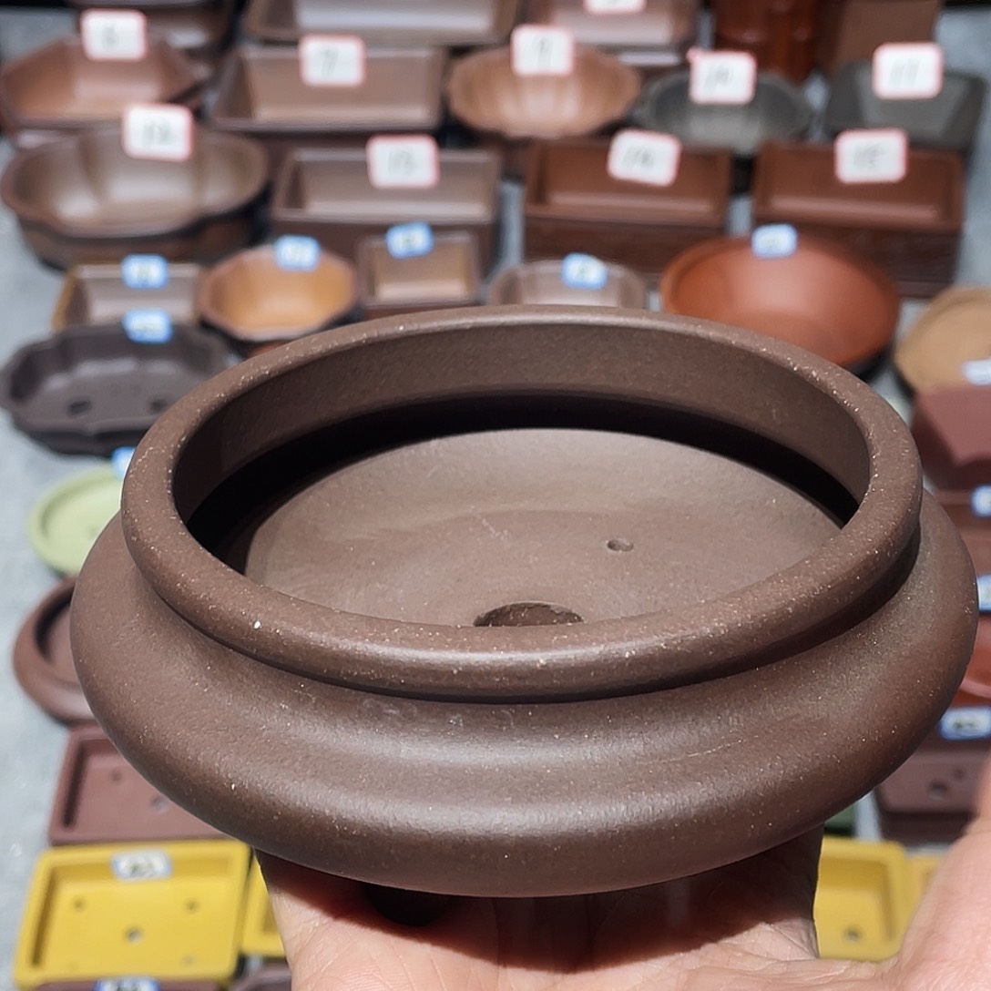 紫砂紫砂小盆10.5*3