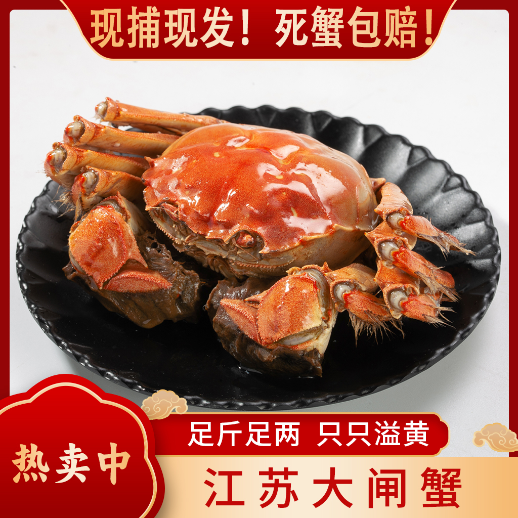 【活蟹】江苏精品大闸蟹 全母蟹3.0-2.7两对半 到手8/10只