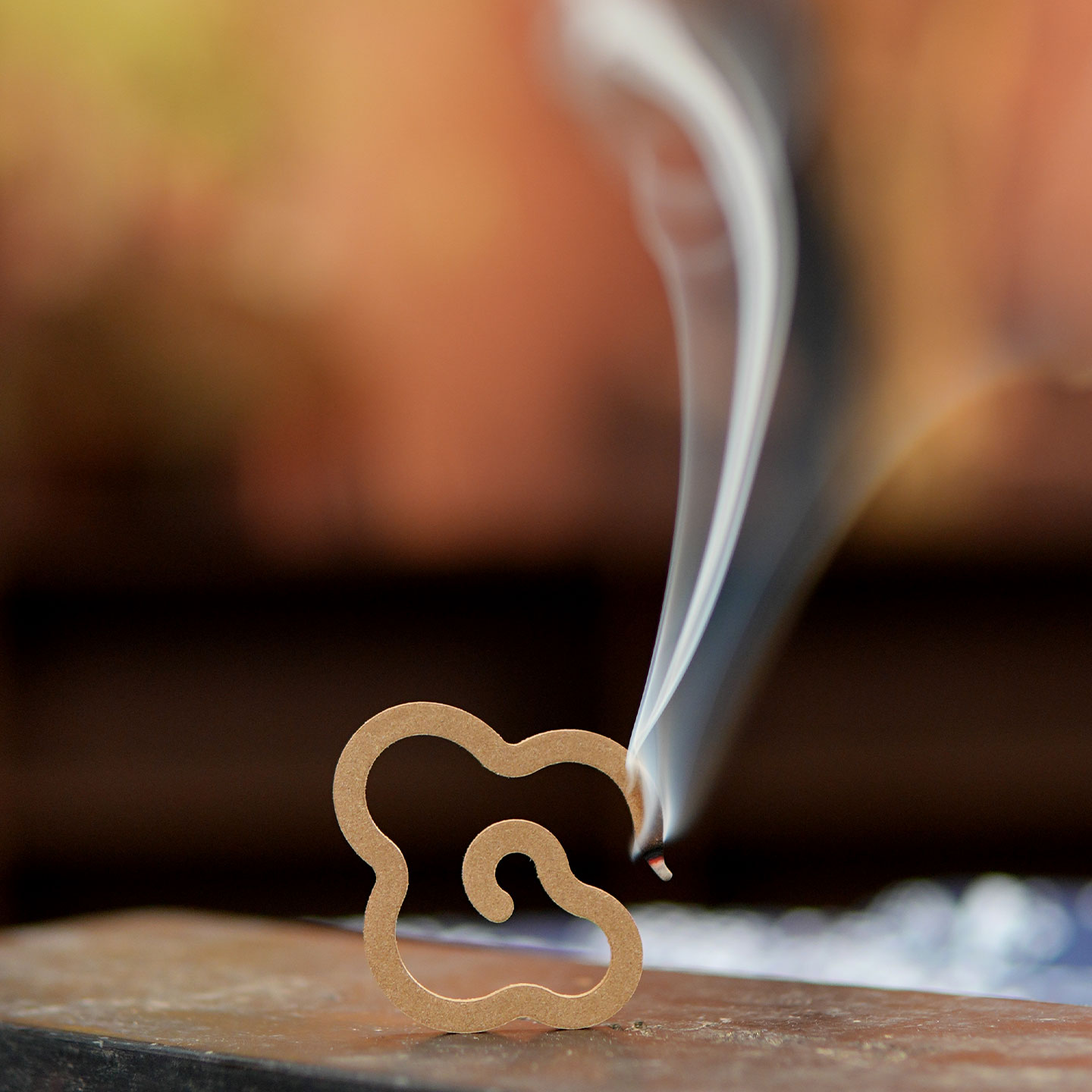 柬埔寨菩萨蚁漏土沉祥云盘香  1片  单方香  天然沉香 