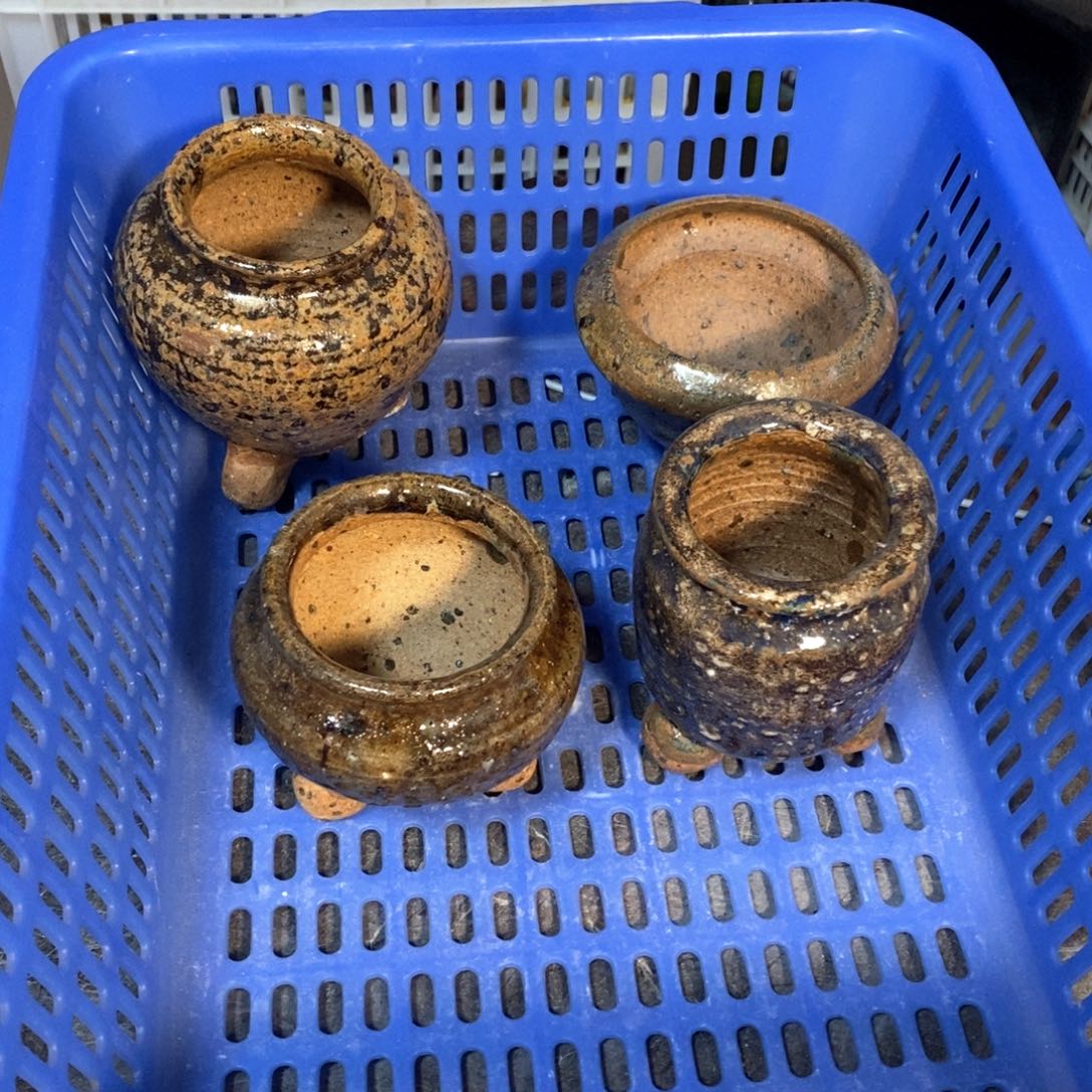 夜***章特价花盆不退不换