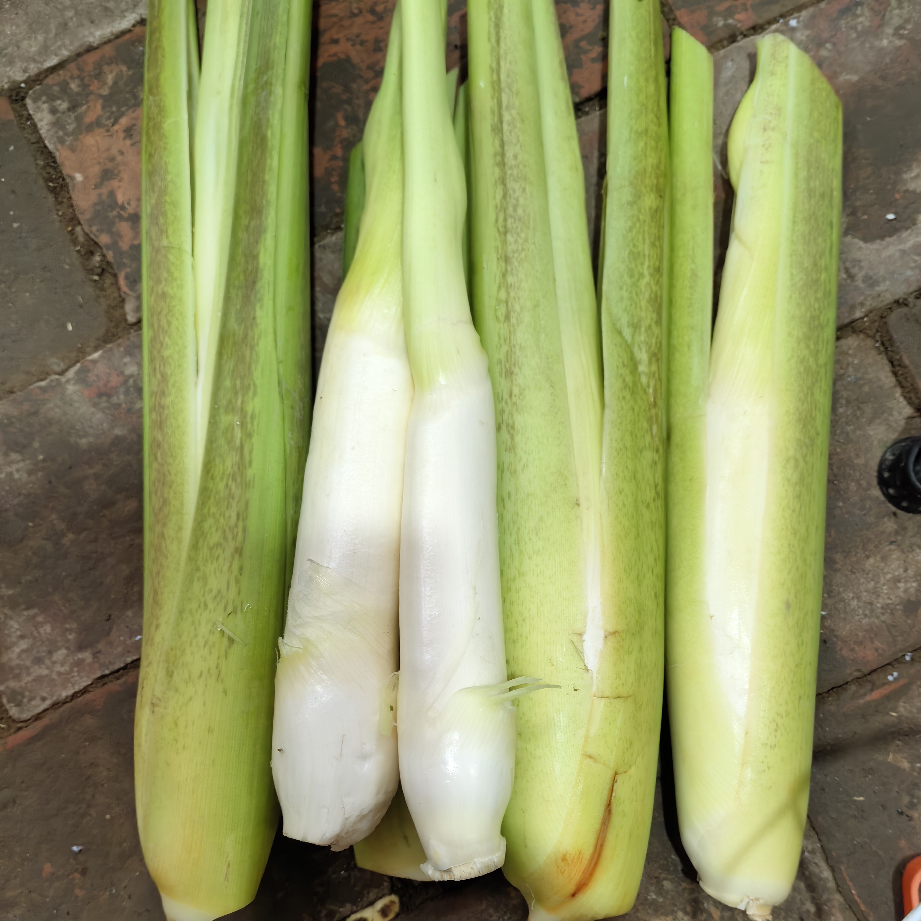 茭白（带皮发货）-净重3斤（京东送到家）