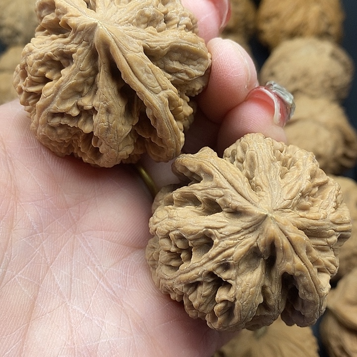 大叶紫檀（黑酸枝木类）粗筋46