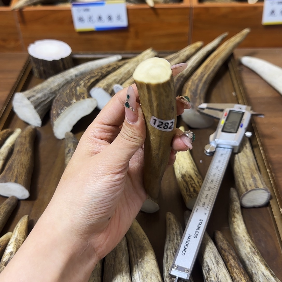 鹿骨手串/手链1282角尖