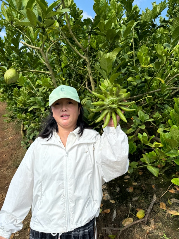 保温棉、一箱一拍（包邮不参与拼单）