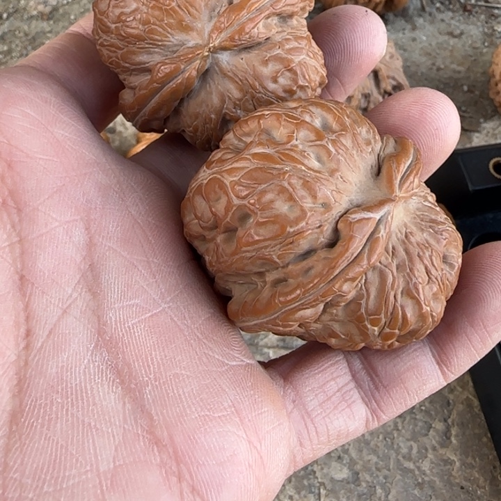 Z***e文玩核桃把件元宝