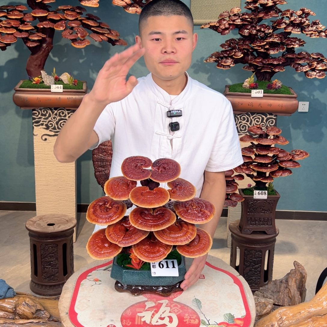 无花朵888888888888