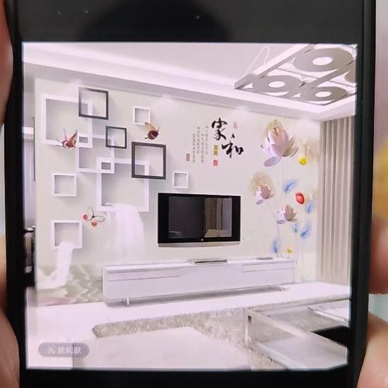 马***成客厅电视墙壁画壁布