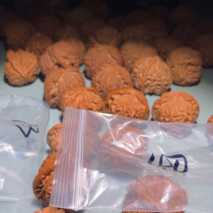 文玩核桃吊坠40莲花山