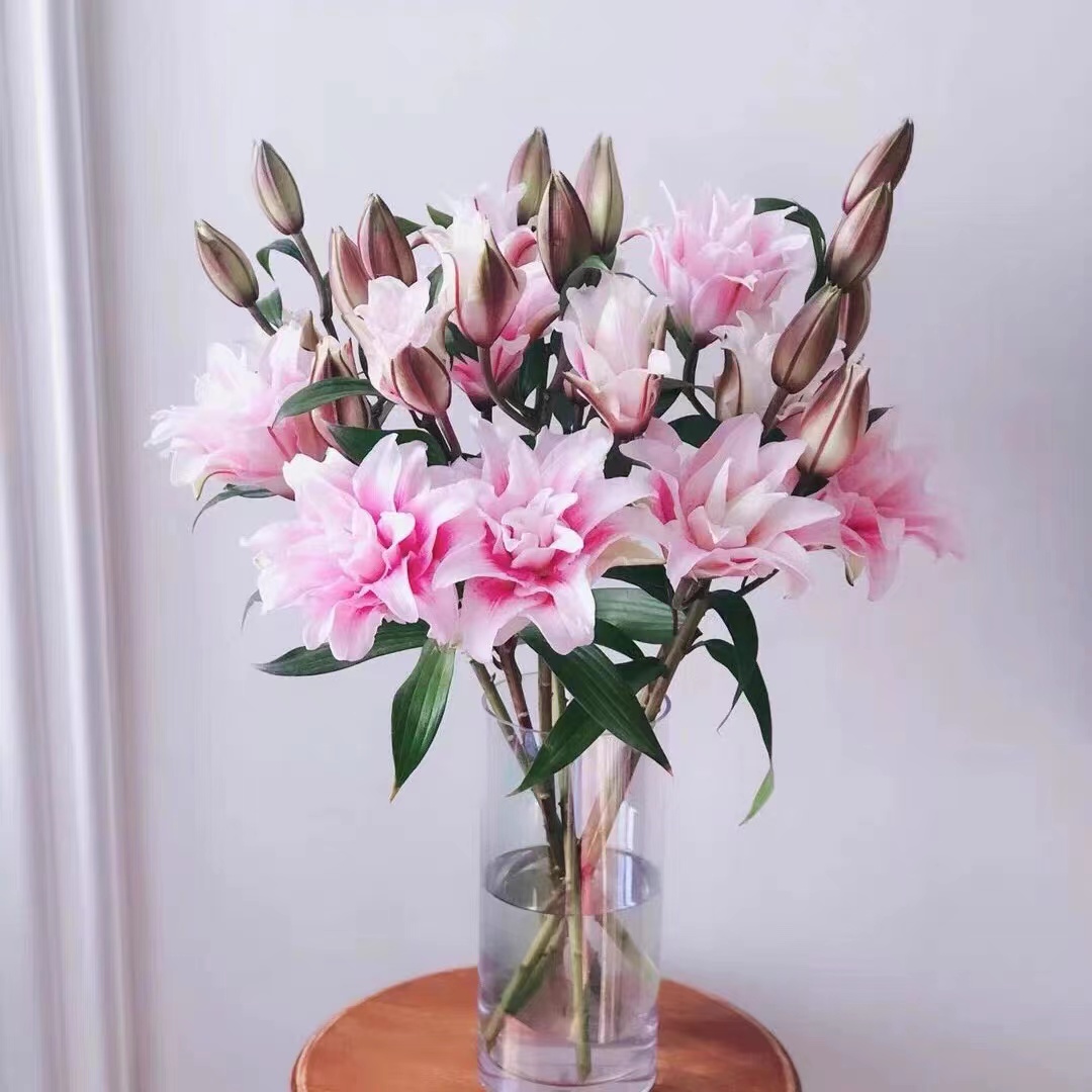 【两单顺丰一单申通】伊莎贝拉重瓣香水百合鲜花家用鲜花供佛专用