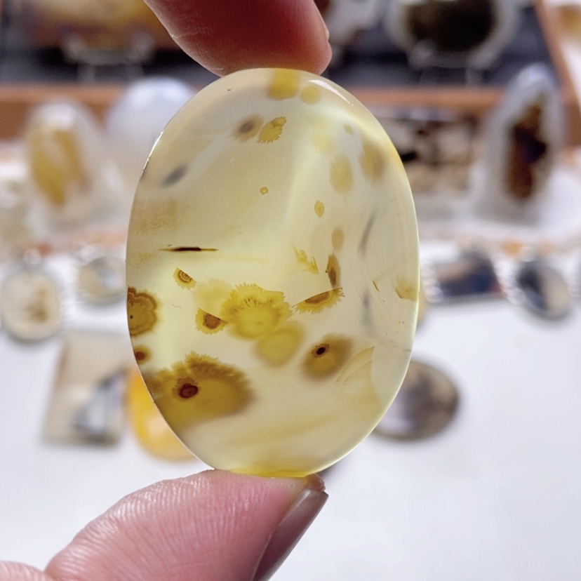 【闪购商品】玛瑙/玉髓颈饰未镶嵌