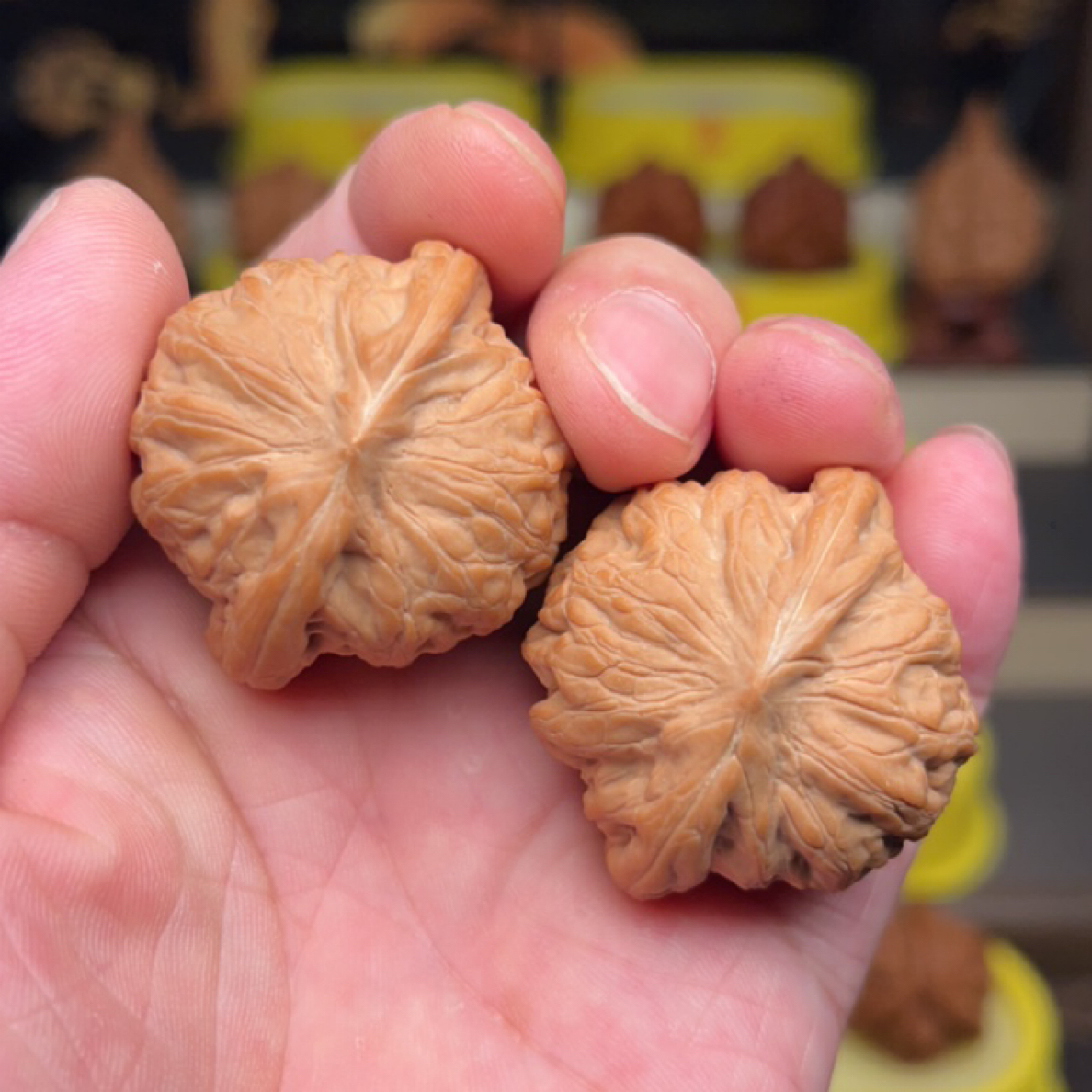 40全品战鼓／白茬头货