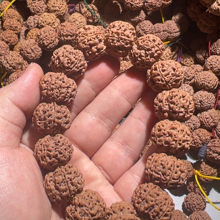 吊坠金刚菩提8号金刚