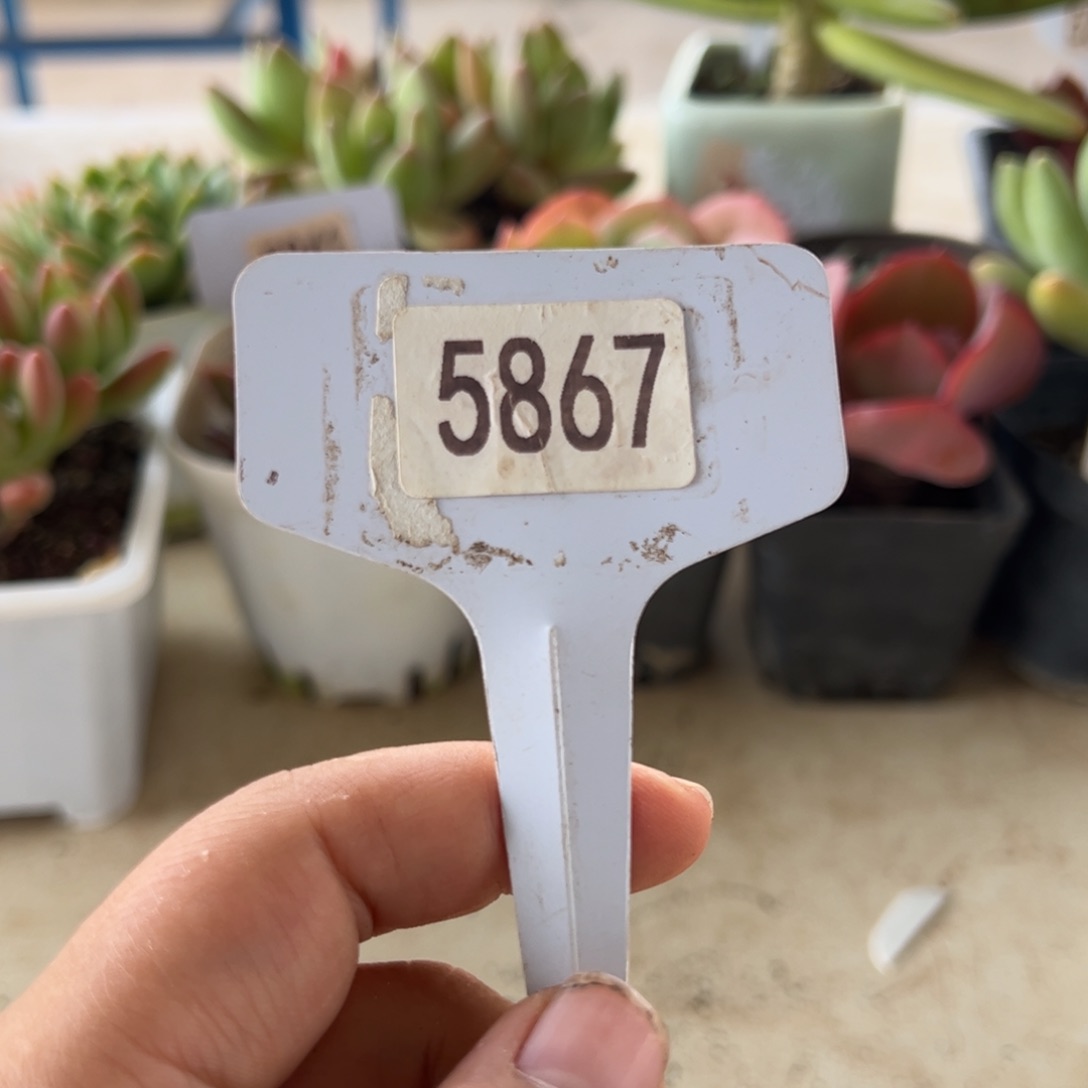 【闪购商品】南*。5867。  11111111