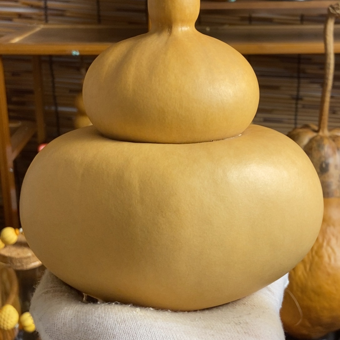 llllllllll一物一拍006