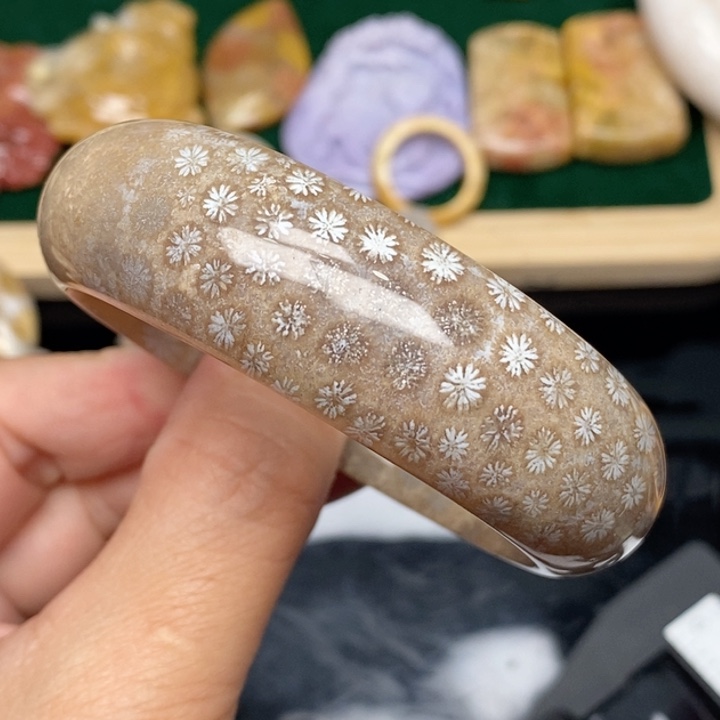 硅化珊瑚（珊瑚玉）手镯未镶嵌54.5