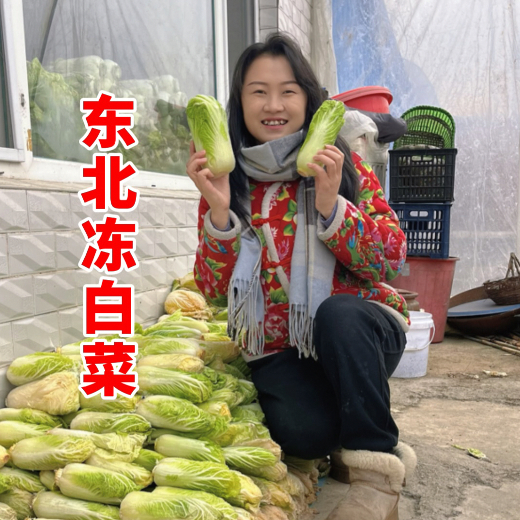 一凡家乡的东北冻白菜 农家种植 天然冷冻帮切段去根 老帮
