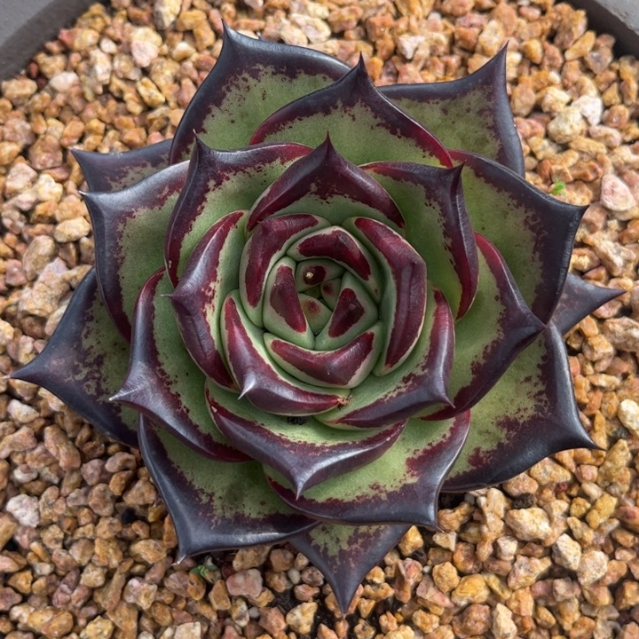 聚宝美宽11111111111