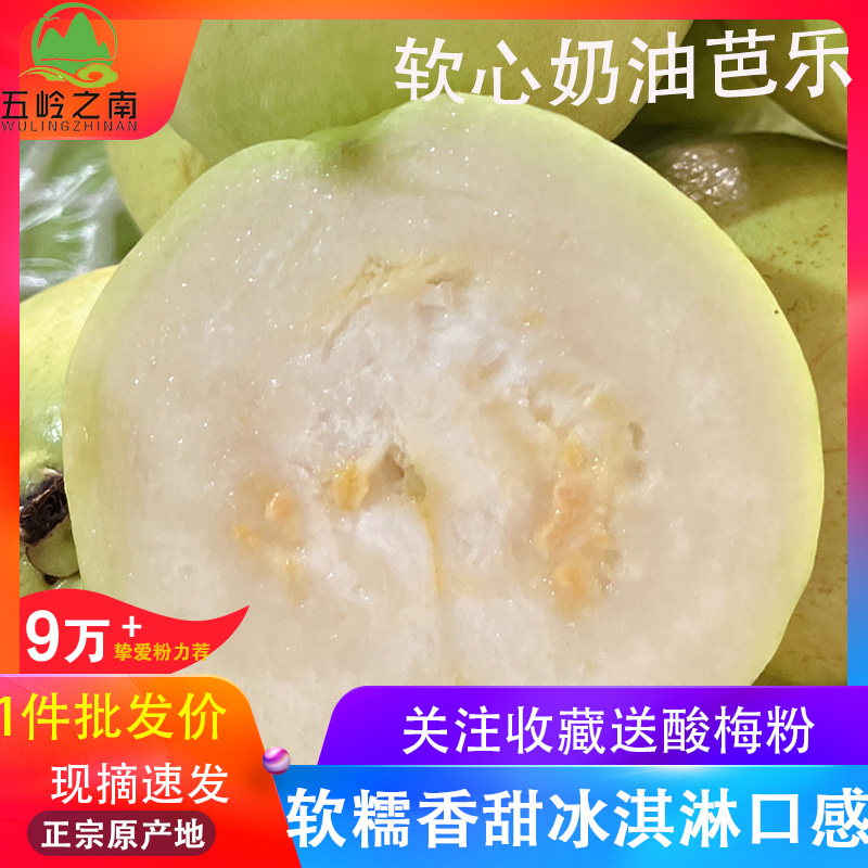 广西软糯软心奶油芭乐3斤5斤芭乐白心软心番石榴水果高山老树果