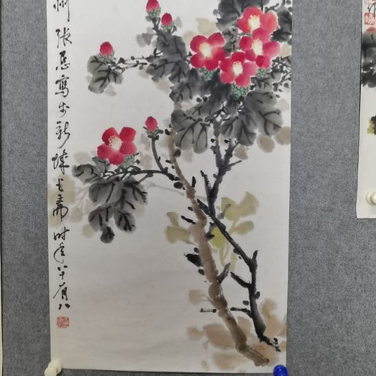 国画张张老师张张张老师张