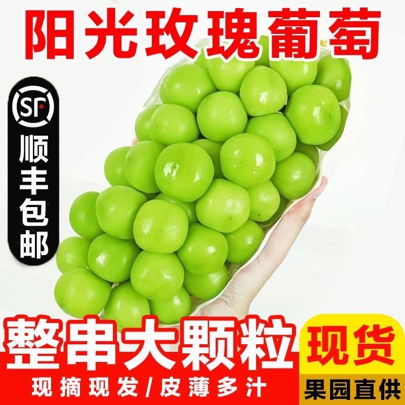 【5斤果王装】顺丰包邮云南阳光玫瑰葡萄新鲜无籽果肉脆甜当季水果