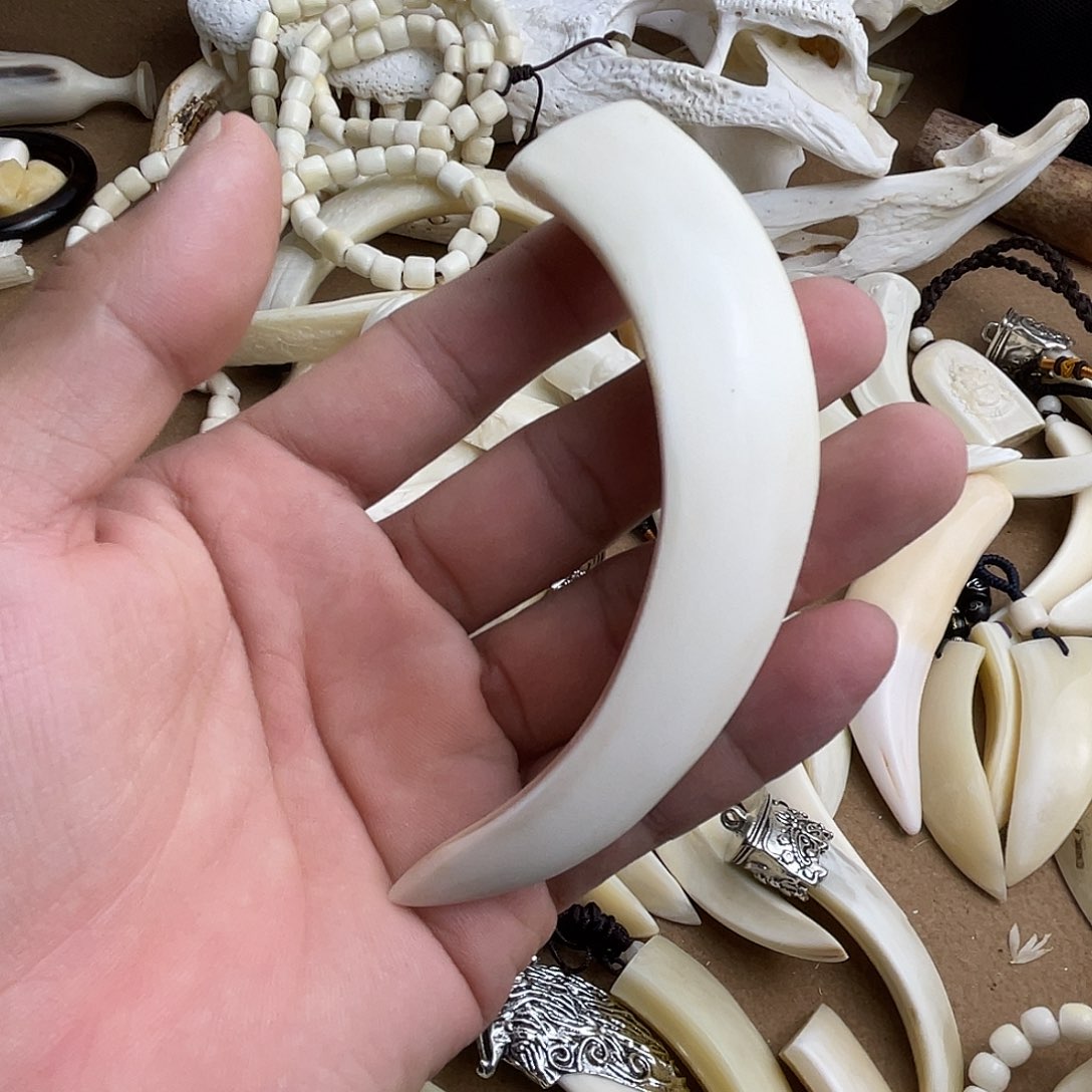 猪牙手串/手链猪牙獠牙