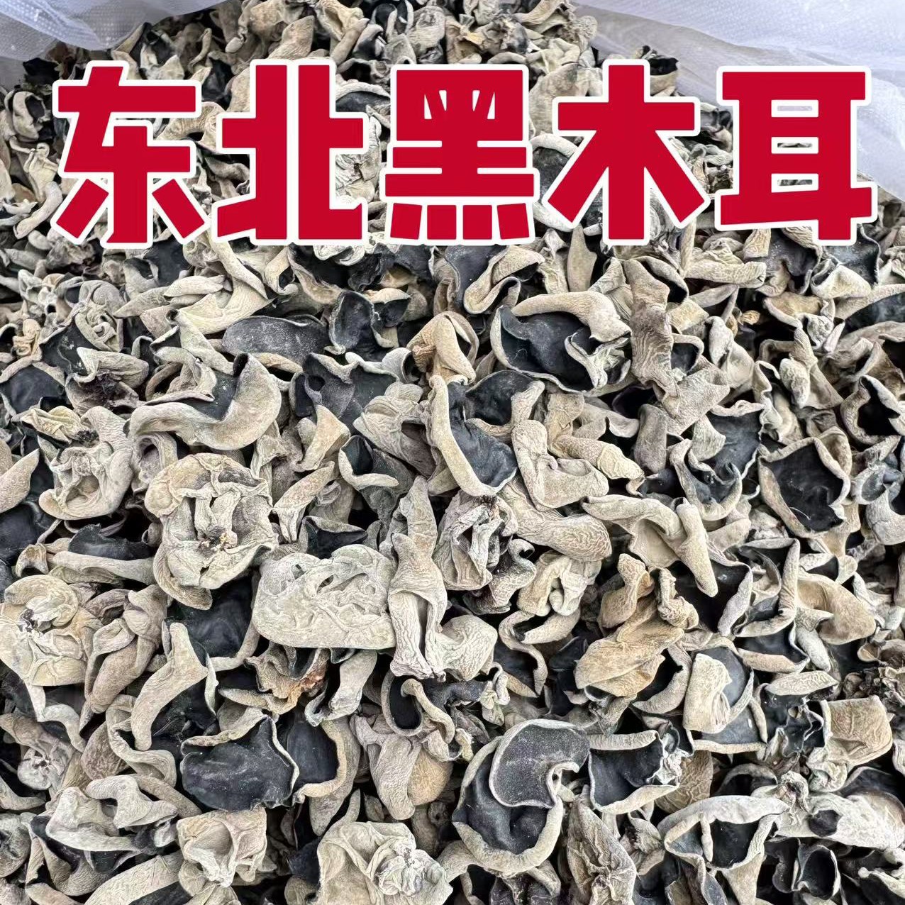 东北秋木耳精选黑木耳