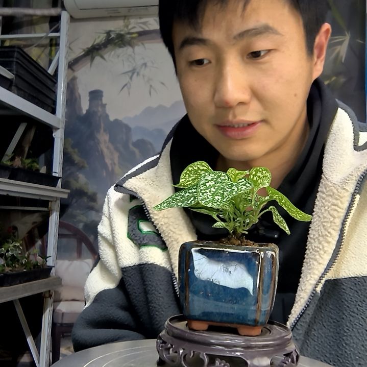 Y***️中青园艺一物一拍花166