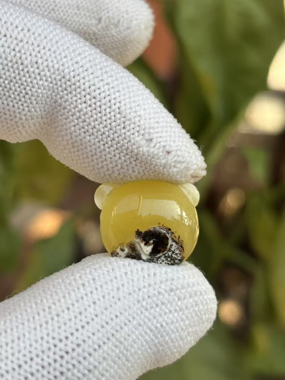3966天然蜜蜡琥珀小熊头配饰16x14x6.2mm