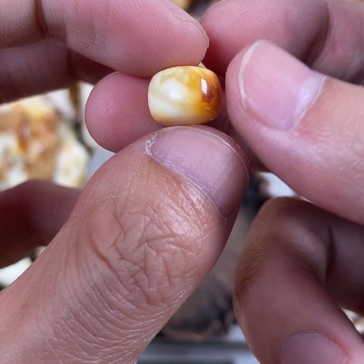 琥珀未镶嵌裸石我