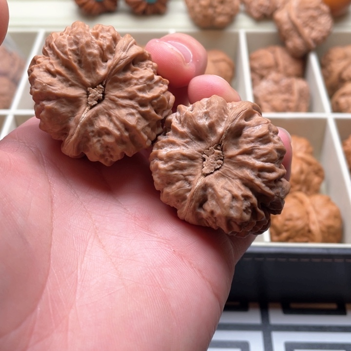 核桃手串/手链龙**海40cm蛤蟆头，