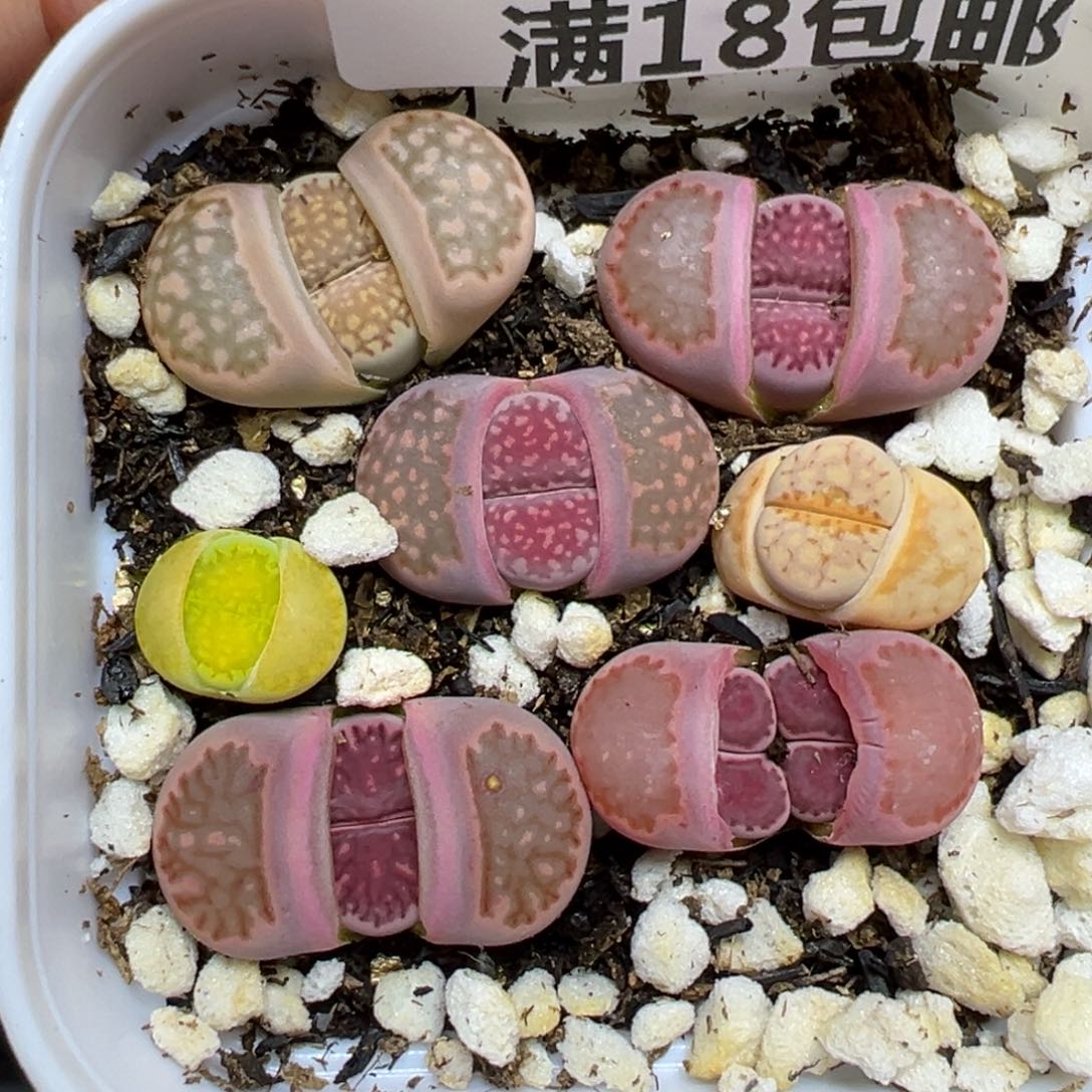 【闪购商品】130……