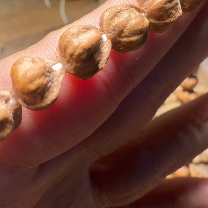 M***o柏香籽/百香籽吊坠