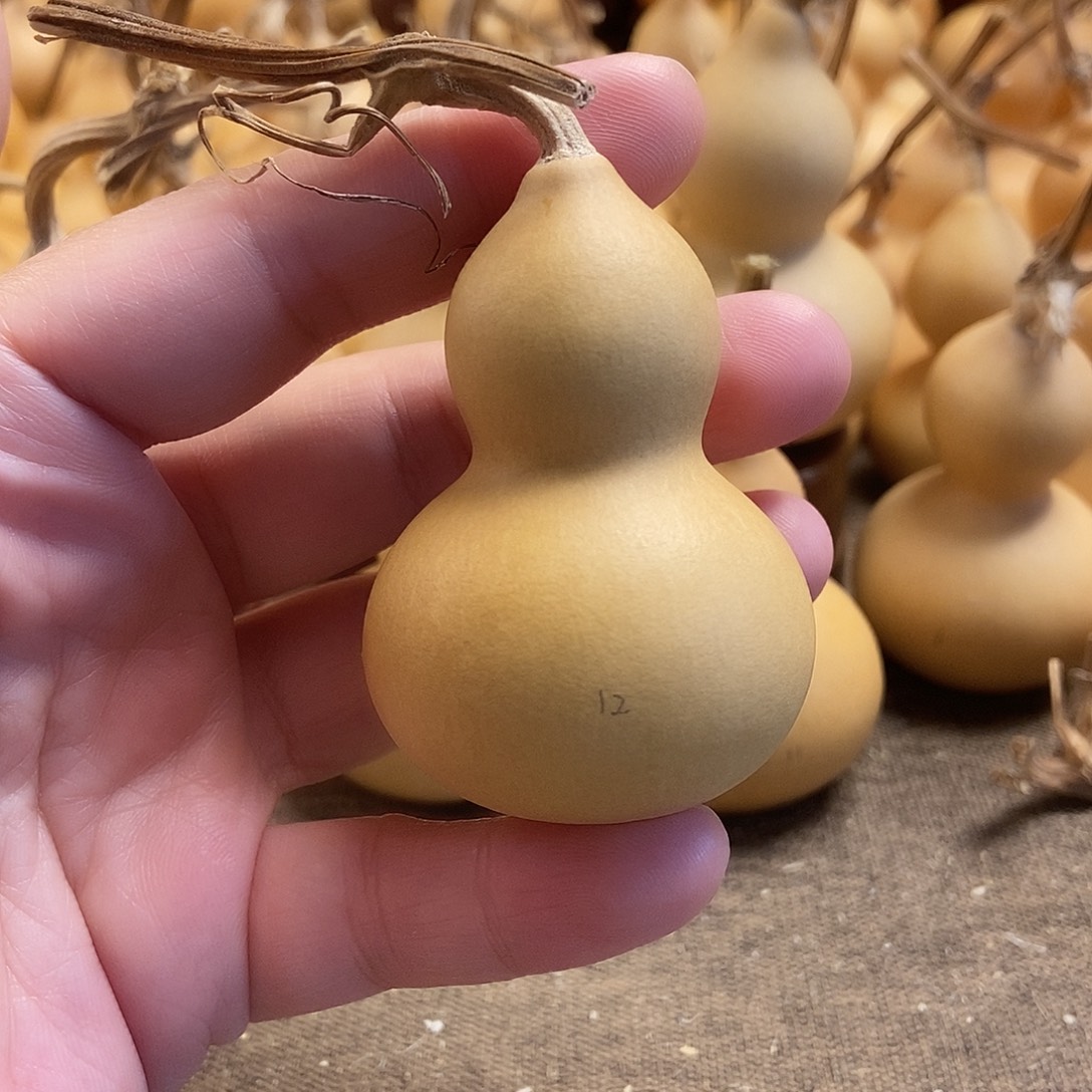 文玩葫芦 完美主义者 慎拍12