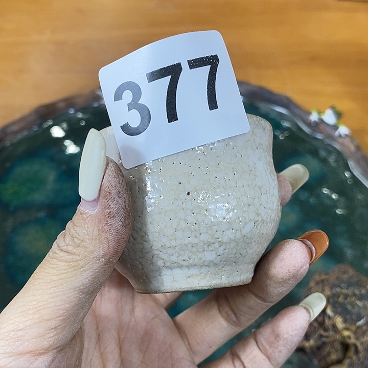春***泥海外陶瓷茶具日化