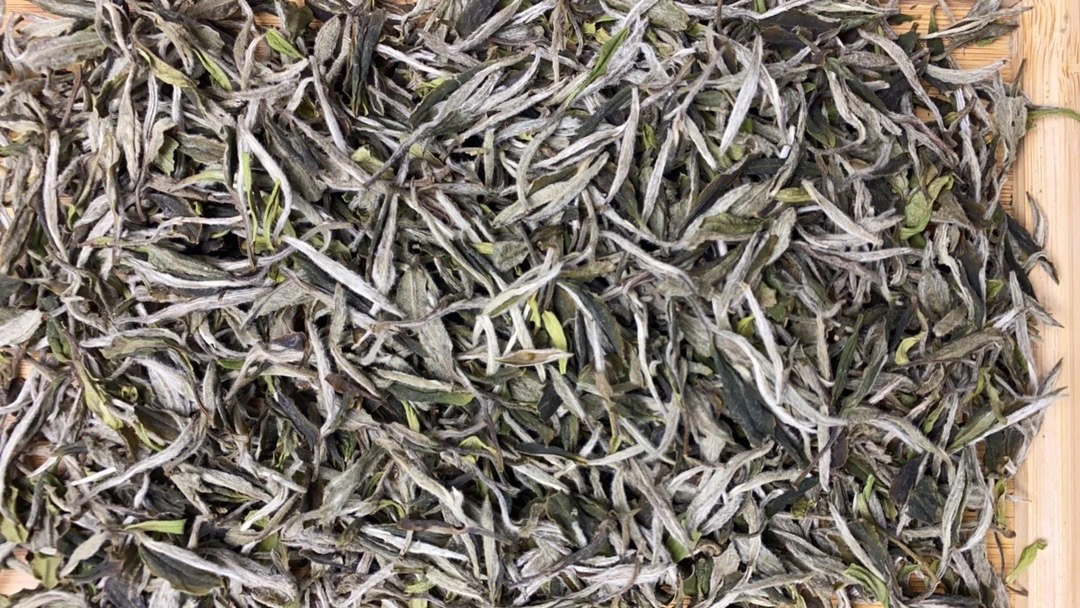 2021年管阳河山特级白牡丹.毫香蜜韵，浓香型超甜