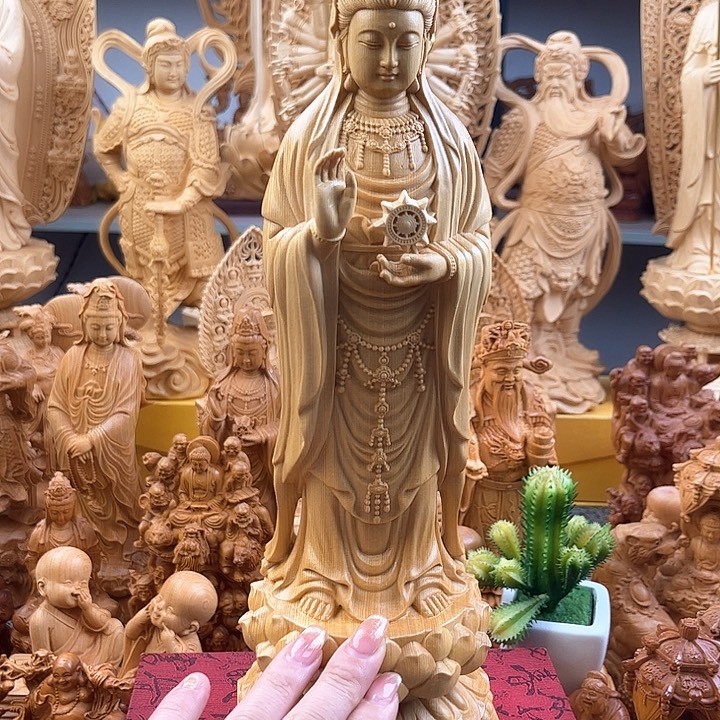 柏木（崖柏）加拿大桧木南海30高度