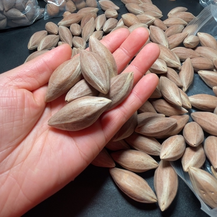 红****猪牙手串/手链我是