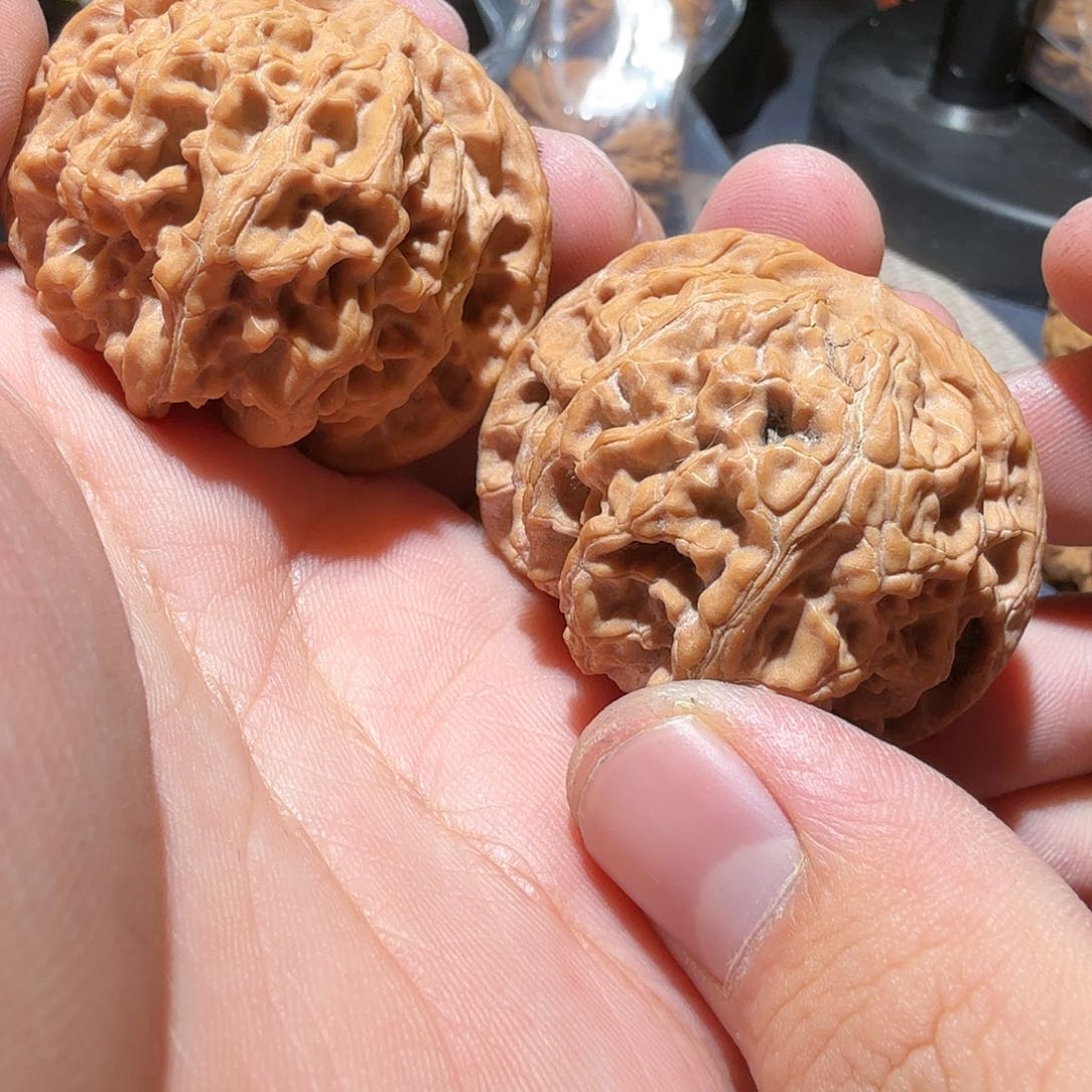 文玩核桃把件爱**生苹果园