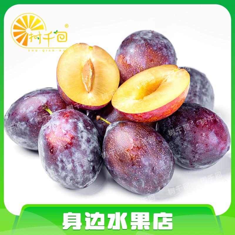 【散装】新鲜西梅约250g纯甜无酸