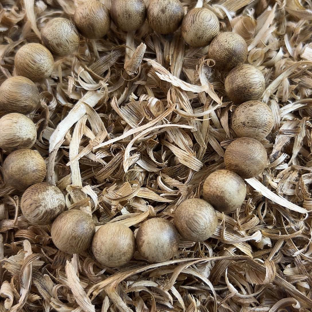 沉香碎屑沉香1.1规格圆珠单圈7.6g多样性发一